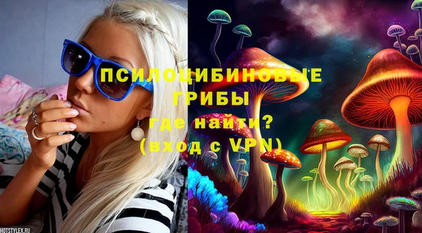 мдпв Навашино