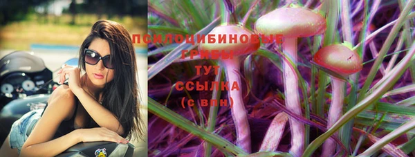 гашиш Новодвинск