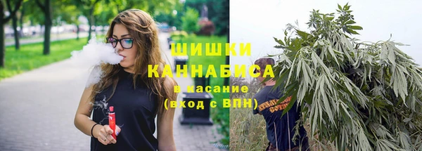 ALPHA PVP Надым