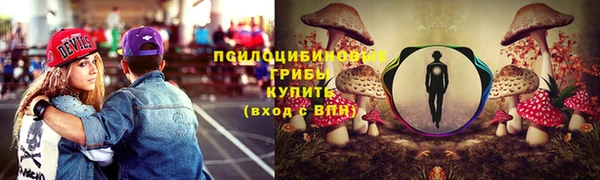 гашиш Новодвинск