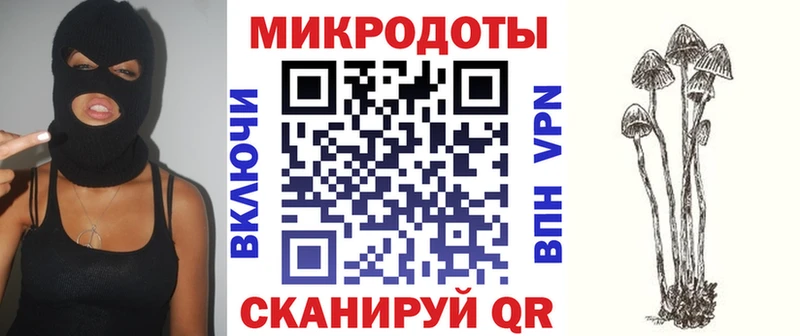 mega зеркало  Карабаш  Псилоцибиновые грибы Psilocybe 